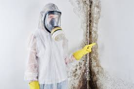 Why you should choose our mold remedi tion services in #city